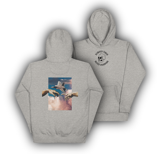 Michelangelo F22 Hoodie