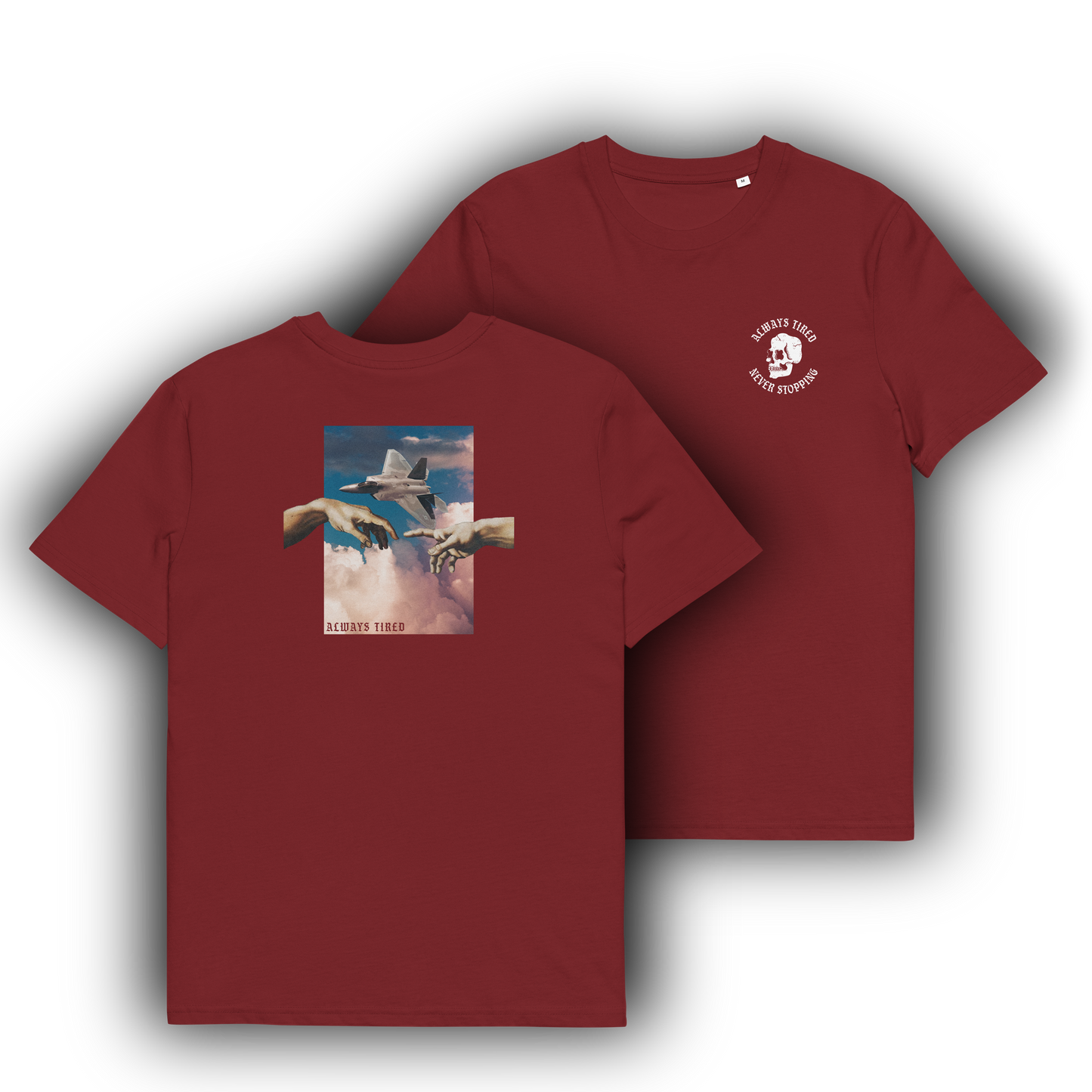 F22 Michelangelo Back Print Heavier T