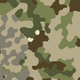 alt-tag